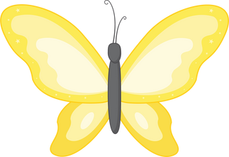 Butterfly Insect Illustration