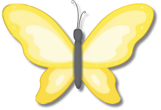 Butterfly Insect Illustration